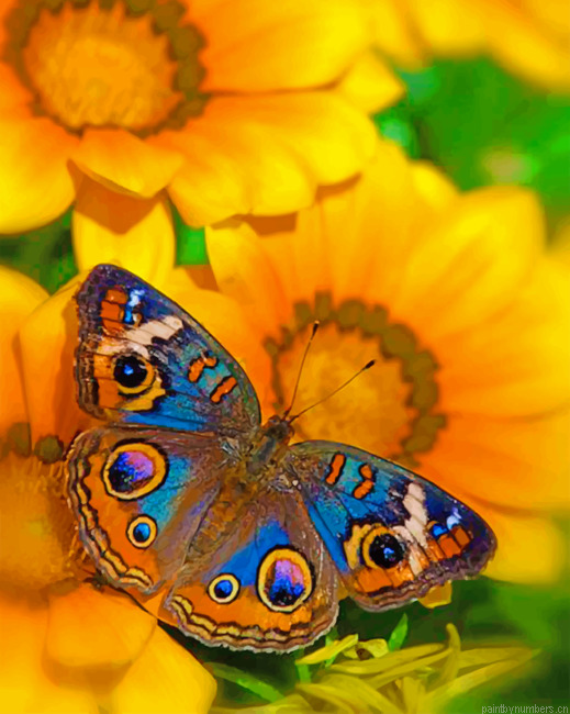 Buckeye Butterfly On A Sunflowers Painting By Numbers.png