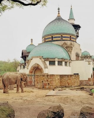 Budapest Zoo Painting By Numberss.png