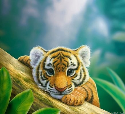 Budding Tiger Painting By Numbers.png
