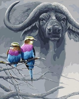 Buffalo And Birds Painting By Numberss.png