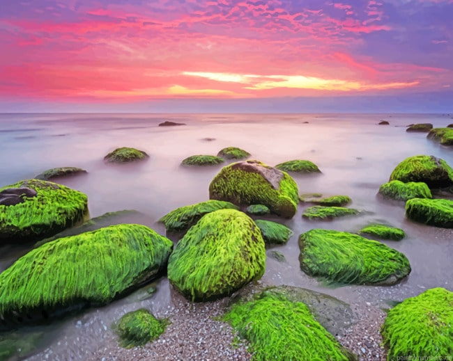 Bulgarian Coast Sunrise Painting By Numberss.png