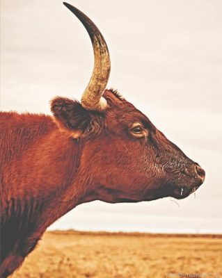 Bull Painting By Numberss.png