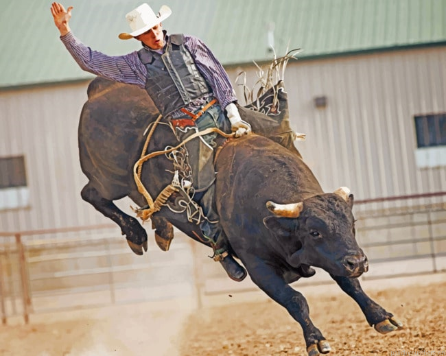 Bull Rider Cowboys Painting By Numbers.png