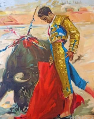 Bullfighter Painting By Numbers.png