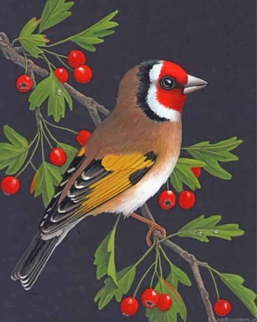 Bullfinch Bird Illustration Painting By Numberss.png