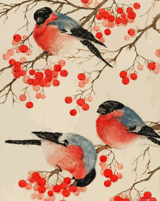 Bullfinch Birds Painting By Numberss.png
