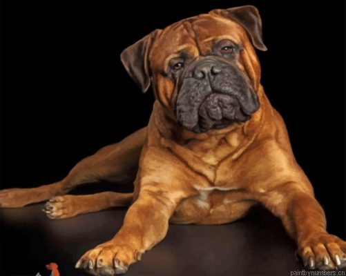 Bullmastiff Dog Painting By Numbers.png