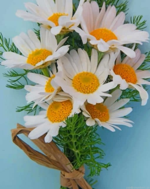 Bunch Of Daisy Flowers Painting By Numberss.png