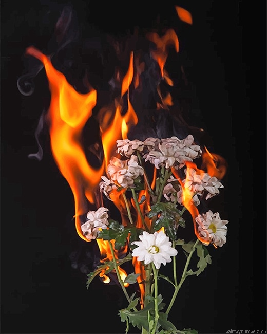 Burning Flowers Painting By Numberss.png