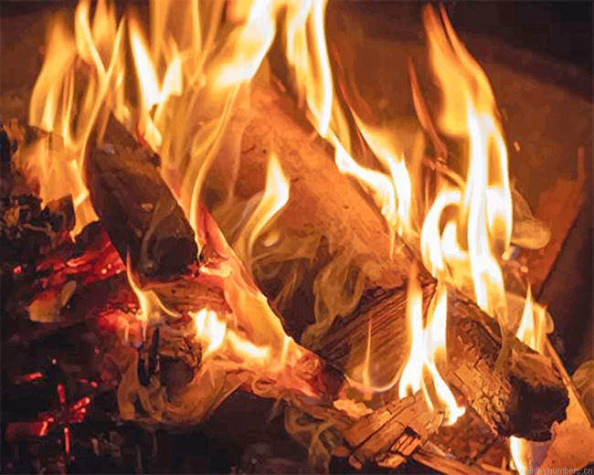 Burning Wood Painting By Numberss.png