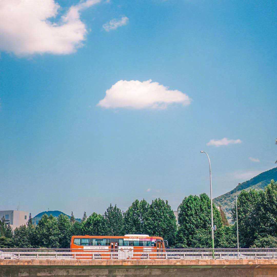 Bus In Seoul Korea Painting By Numberss.png