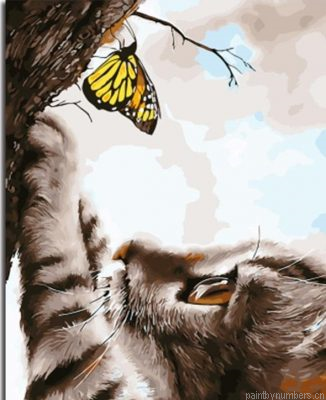 Butterfly And Cat Painting By Numbers.png