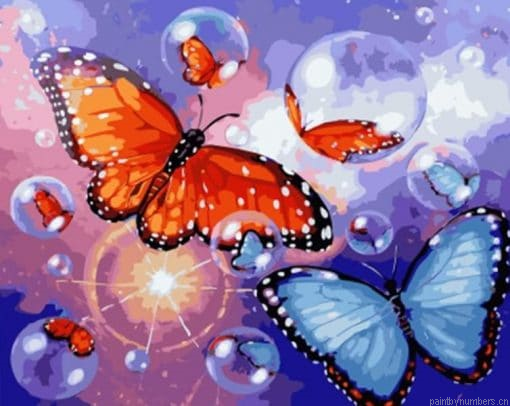 Butterfly Bubbles Insects Painting By Numberss.png