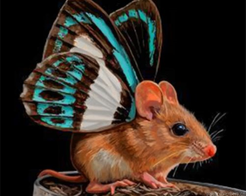 Butterfly Mouse Painting By Numbers.png