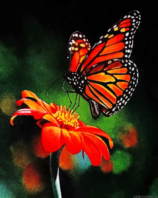 Butterfly On Flower Insects Painting By Numberss.png