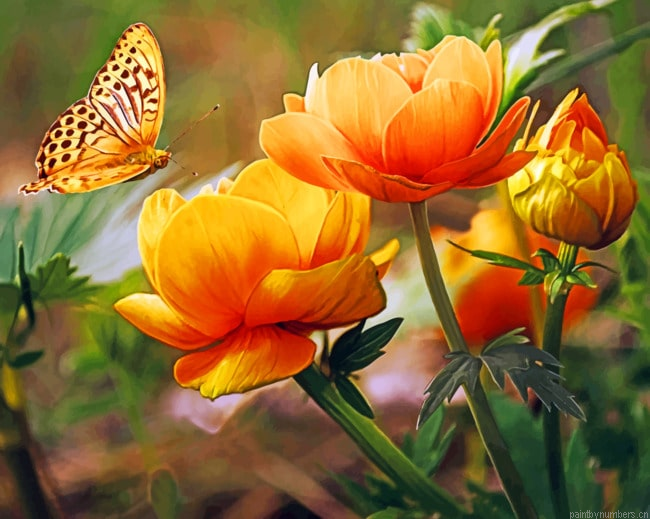 Butterfly On Flowers Painting By Numbers.png