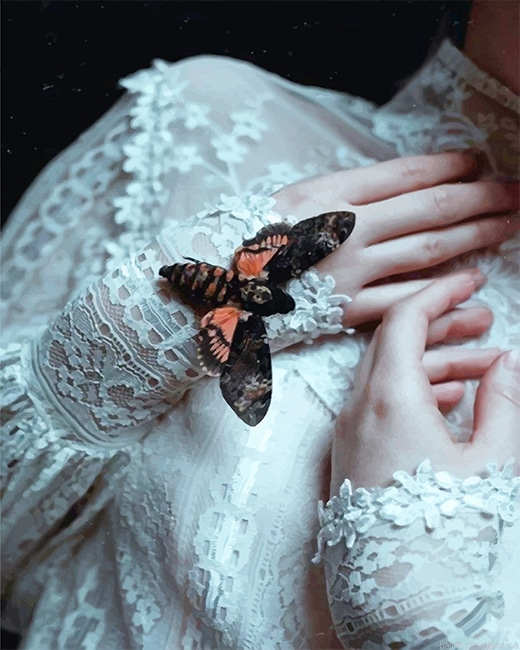 Butterfly On Girl Hand Painting By Numberss.png