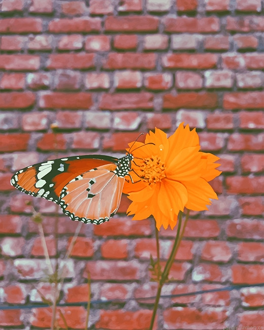 Butterfly On Orange Flower Insects Painting By Numberss.png