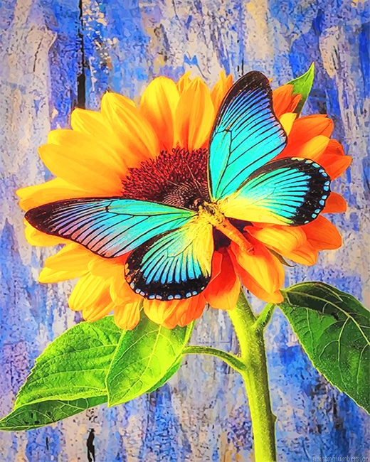Butterfly On Sunflower Insects Painting By Numberss.png