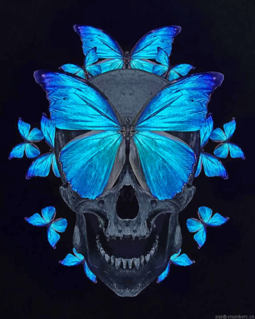 Butterfly Skull Painting By Numberss.png