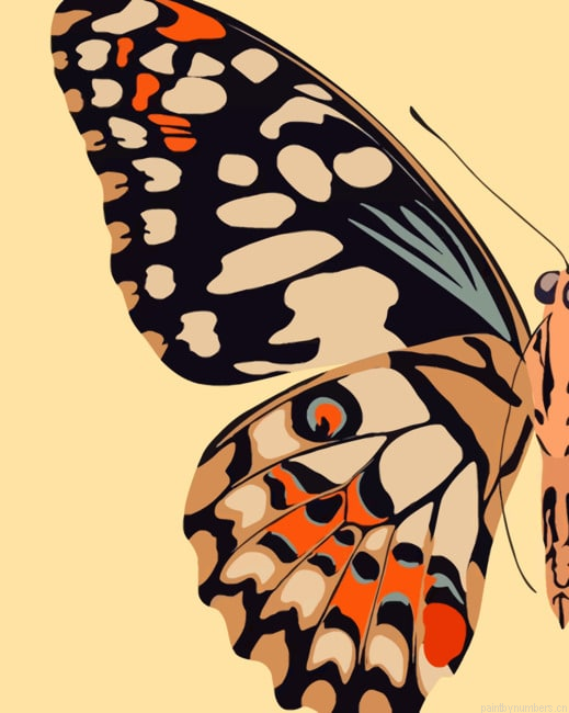 Butterfly Wing Insects Painting By Numberss.png