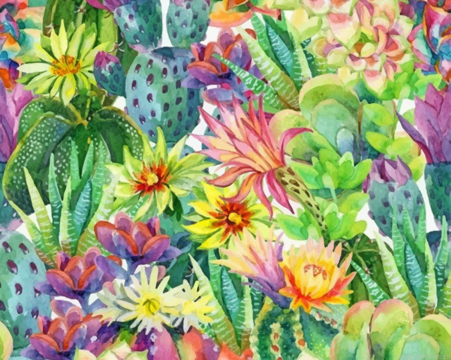 Cactus And Flowers Painting By Numbers.png