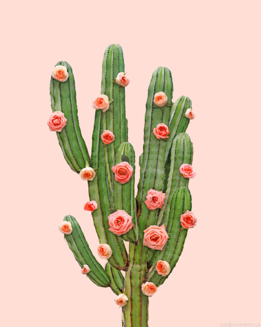 Cactus And Pink Roses Painting By Numbers.png