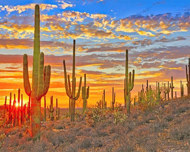 Cactus Arizona Desert Plants Painting By Numberss.png