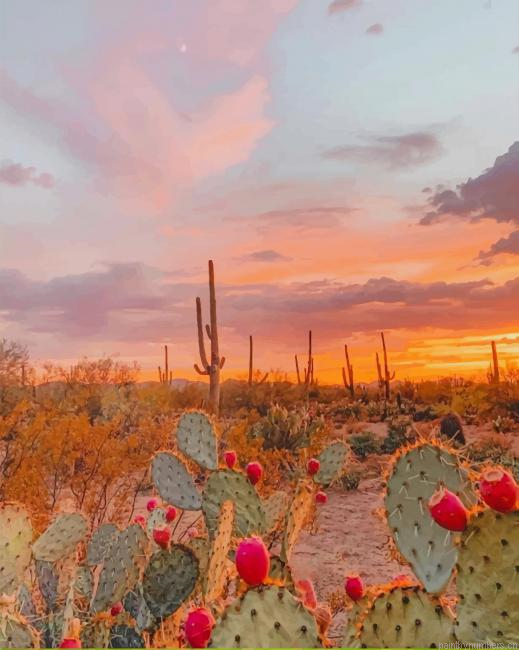 Cactus Desert Landscapes Painting By Numberss.png
