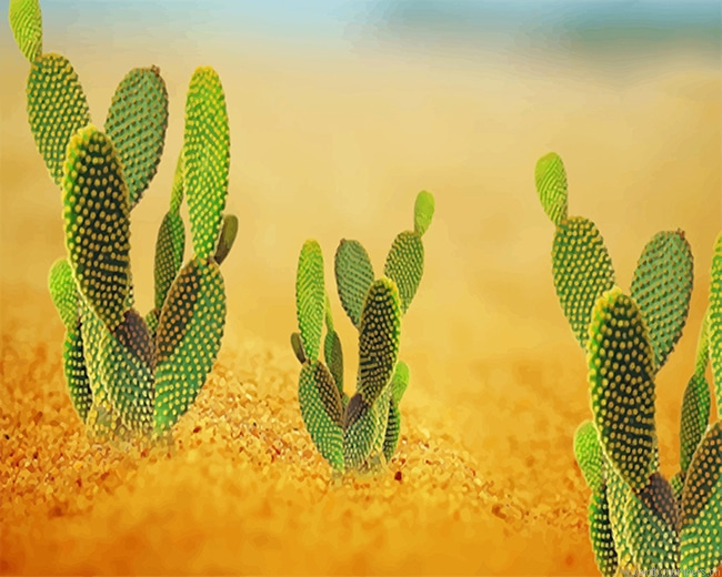 Cactus Desert Plants Painting By Numberss.png