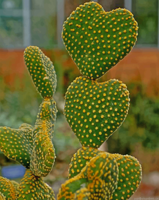 Cactus Heart Shape Painting By Numberss.png