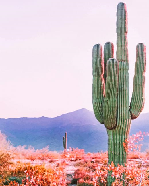 Cactus In Phoenix Arizona Plants Painting By Numberss.png