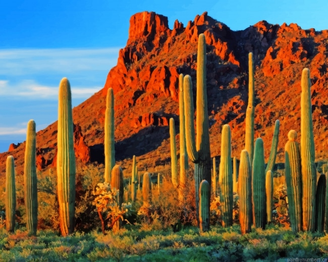 Cactus Near Mountain Painting By Numbers.png