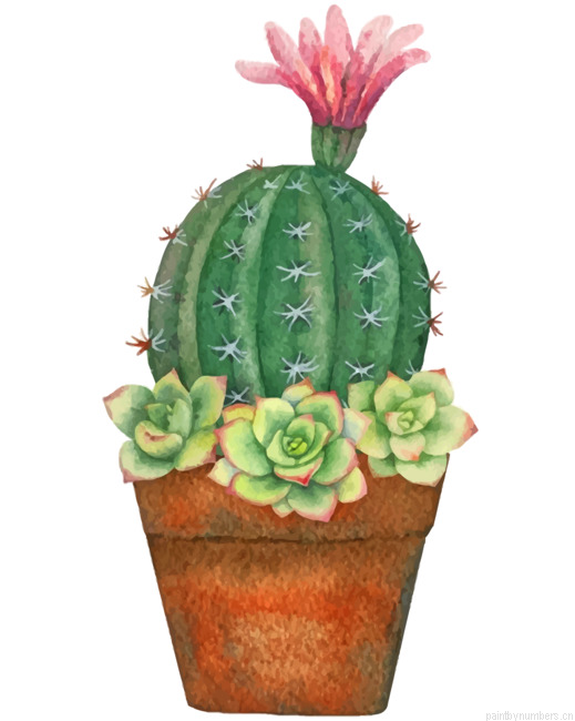 Cactus Plant Painting By Numberss.png