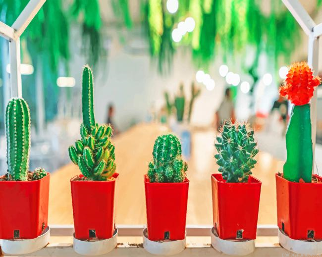 Cactus Plant Types In Buckets Painting By Numberss.png