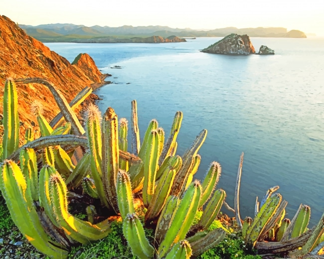 Cactus Plants Beach View Landscapes Painting By Numbers.png