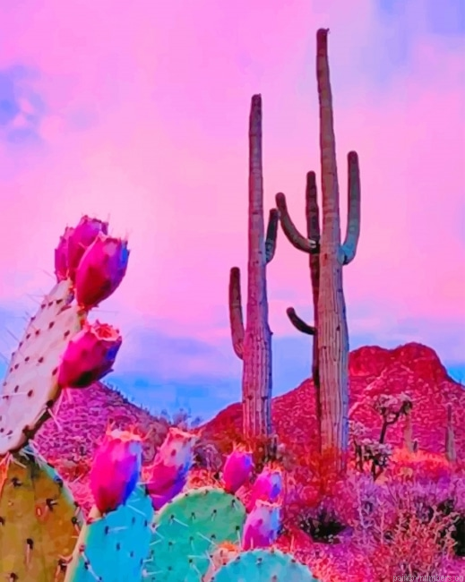 Cactus Plants Painting By Numbers.png