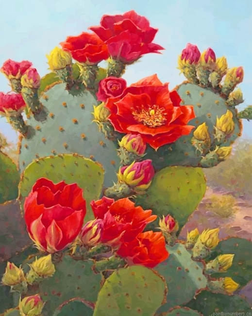 Cactus Red Flowers Plants Painting By Numberss.png