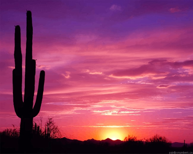 Cactus Silhouette Sunset Plants Painting By Numberss.png