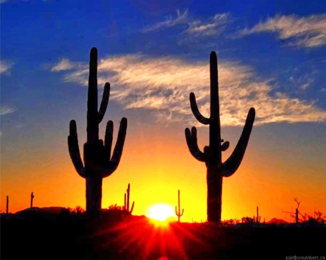 Cactus Sunrise Plants Painting By Numbers.png