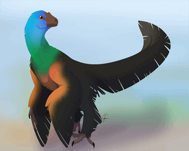Caihong Juji Painting By Numberss.png