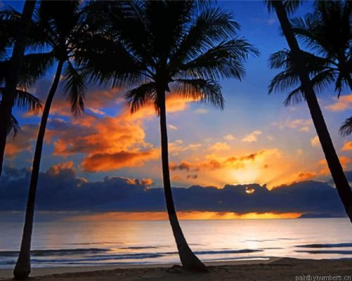 Cairns Sunrise Painting By Numbers.png
