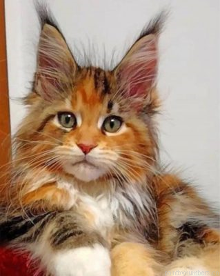 Calico Cat Painting By Numbers.png
