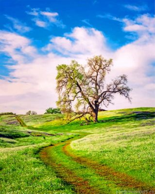California Spring Painting By Numbers.png