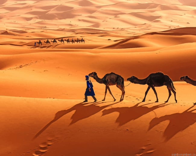 Camel Caravan In The Sahara Deserts Painting By Numberss.png