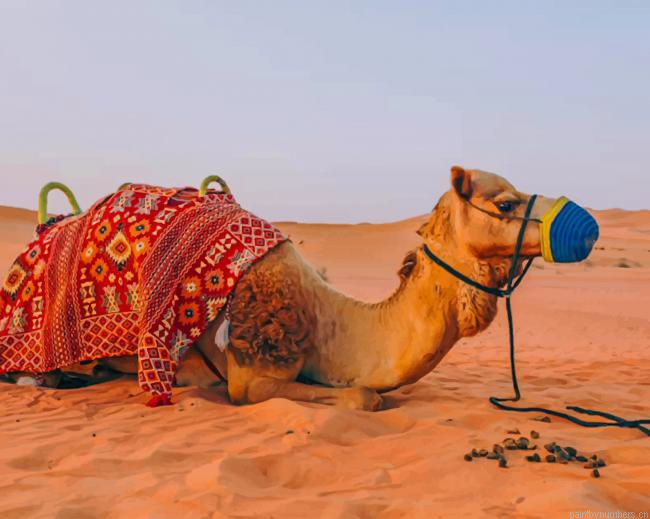 Camel In Dubai Desert Painting By Numberss.png