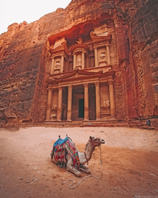 Camel Near The Petra Animals Painting By Numberss.png