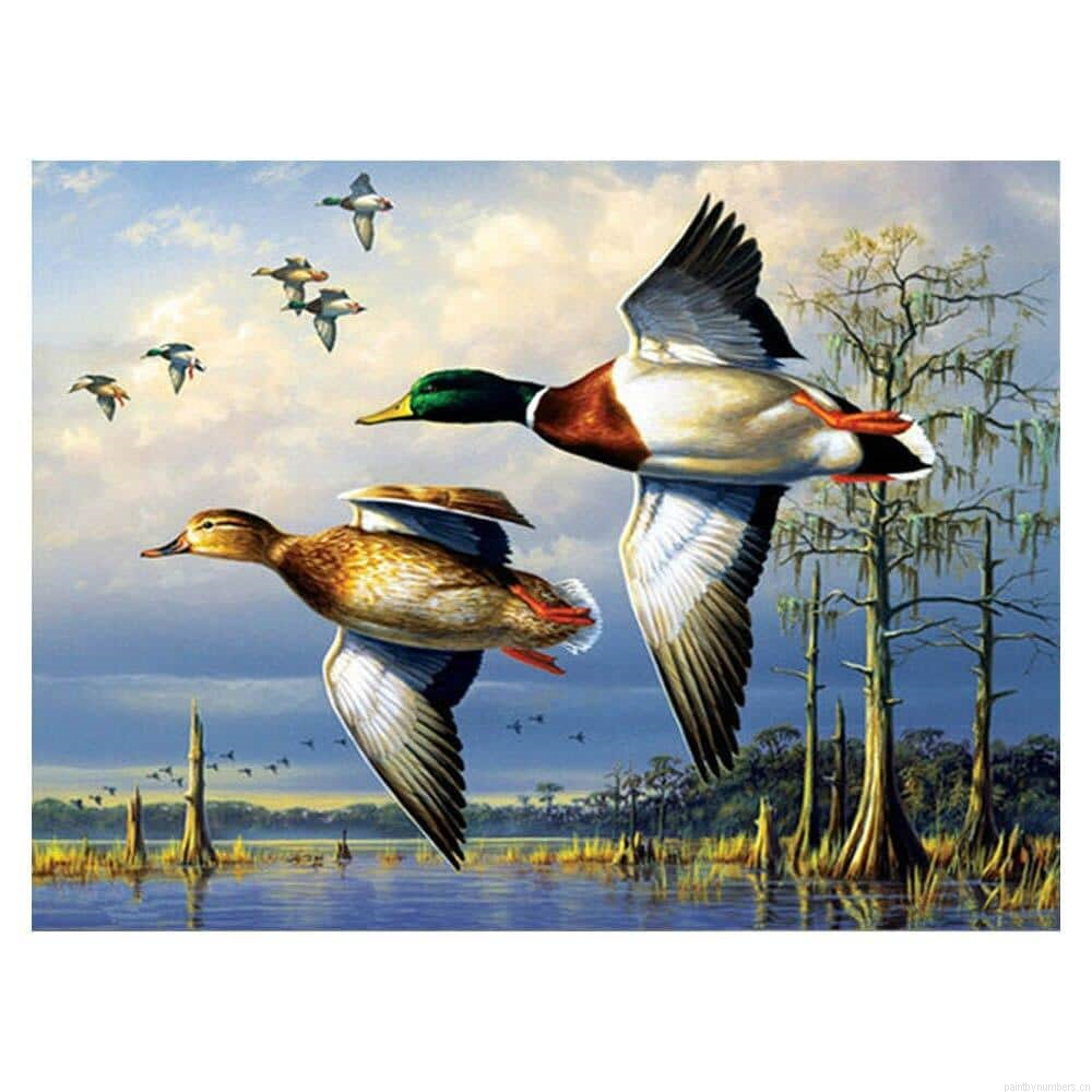 Canada Goose Birds Painting By Numbers.png