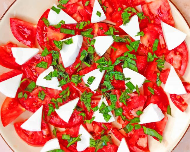 Caprese Salad Food Painting By Numberss.png