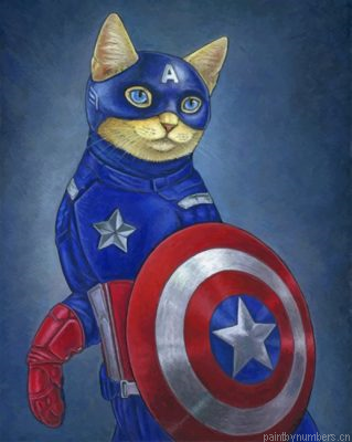 Captain Meow Painting By Numbers.png